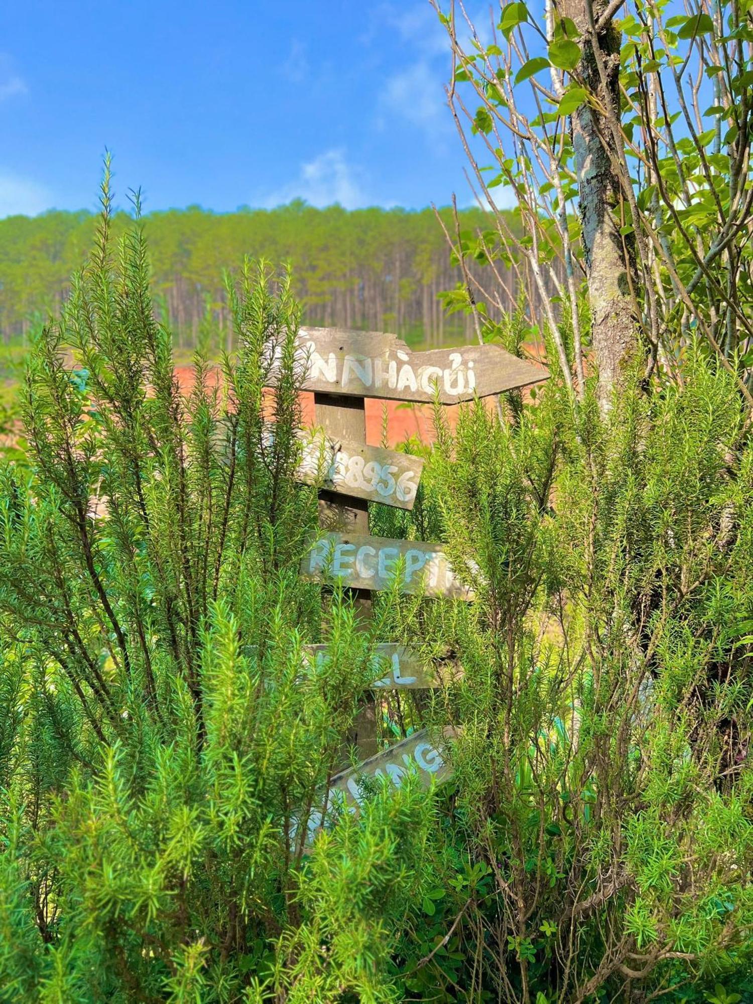 Vuon Nha Cui Homestay Dalat Exteriör bild