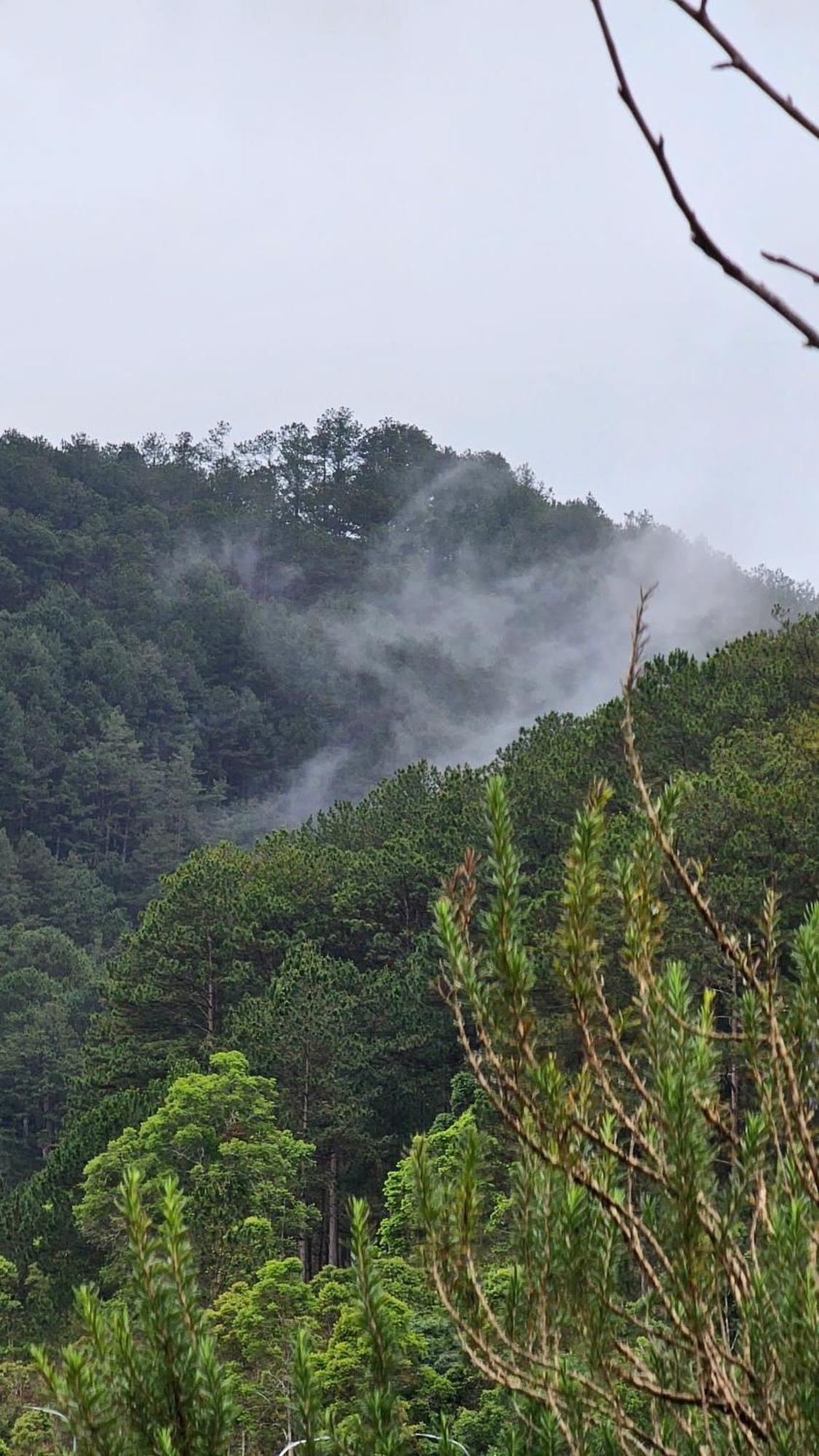 Vuon Nha Cui Homestay Dalat Exteriör bild