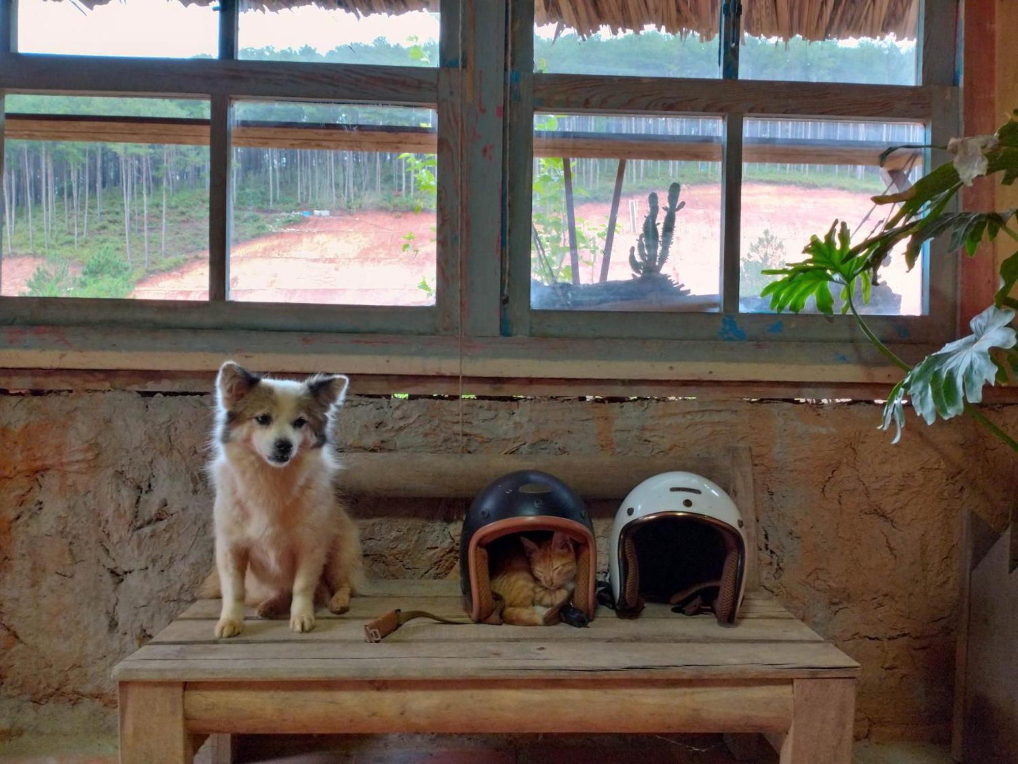 Vuon Nha Cui Homestay Dalat Exteriör bild