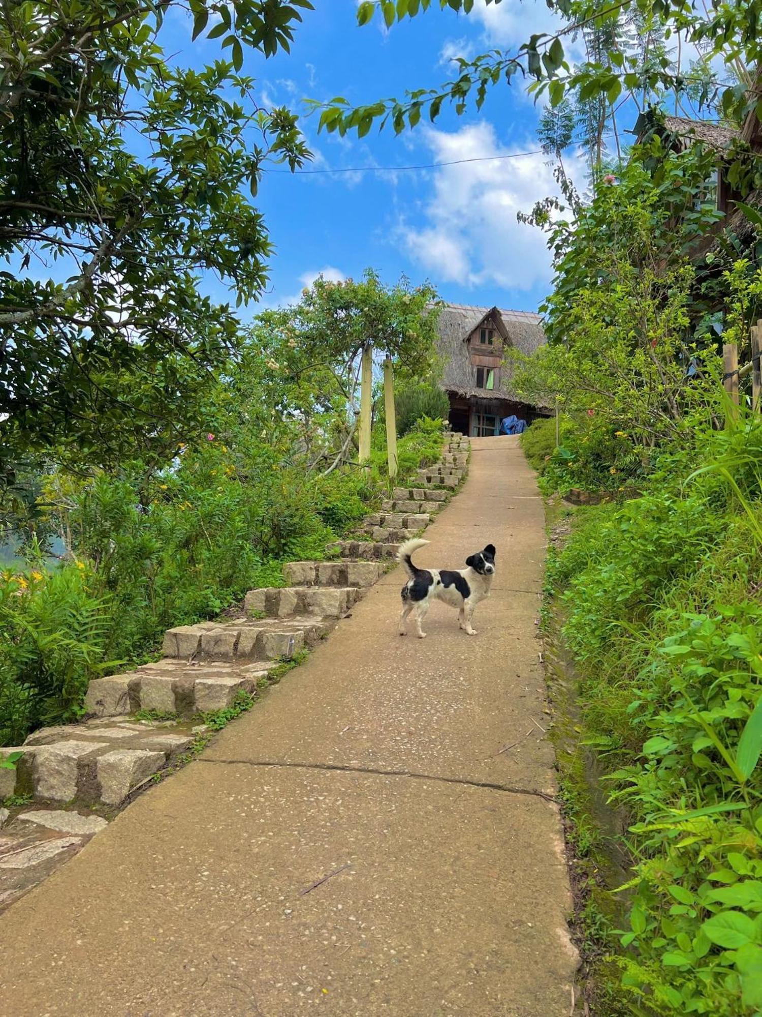 Vuon Nha Cui Homestay Dalat Exteriör bild