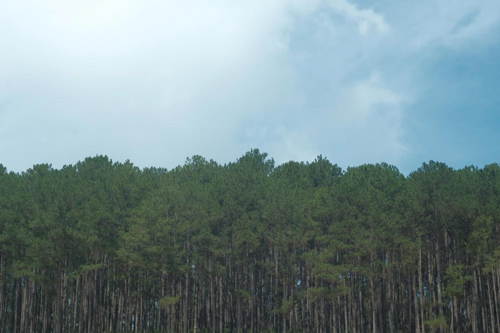 Vuon Nha Cui Homestay Dalat Exteriör bild