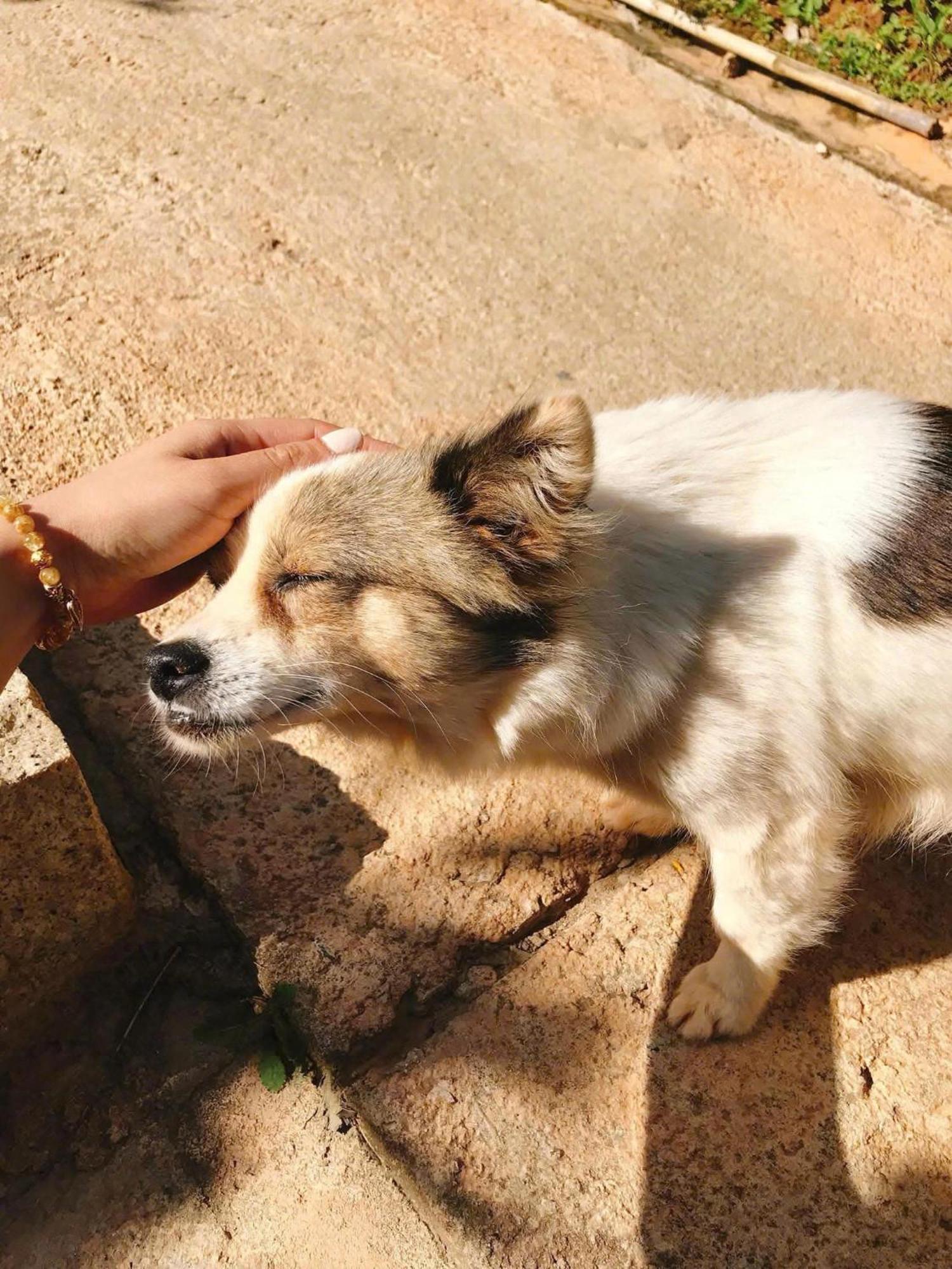 Vuon Nha Cui Homestay Dalat Exteriör bild
